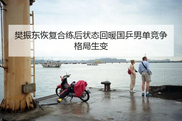 樊振东恢复合练后状态回暖国乒男单竞争格局生变